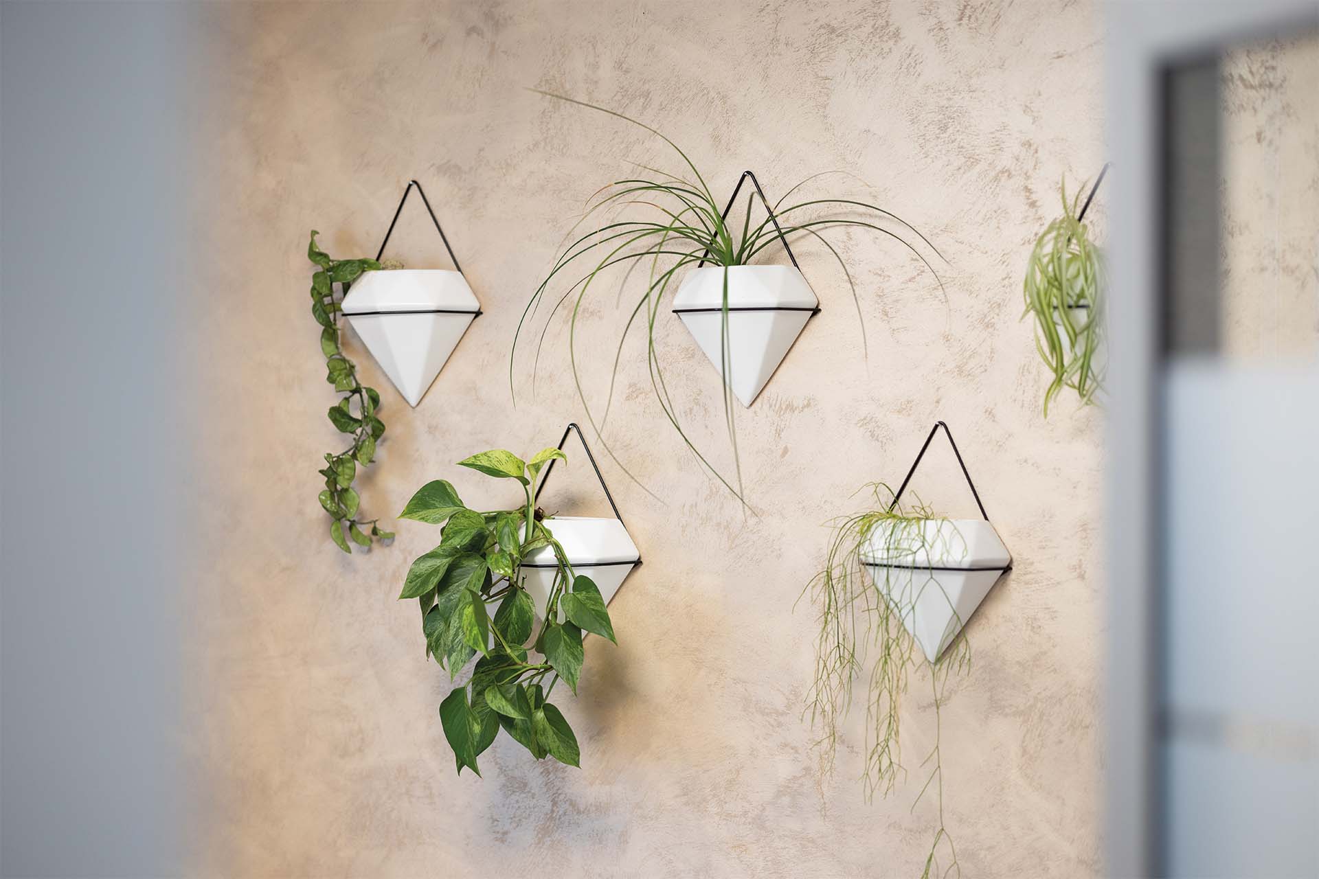 Pflanzen an der Wand Wartezimmer