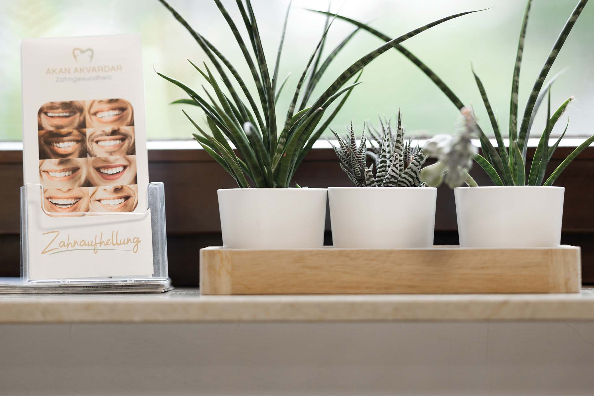 Dekoration und Prospekte